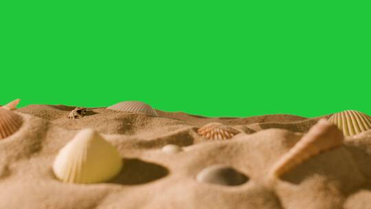 绿屏背景前的沙滩贝壳
