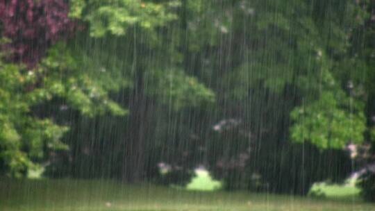 美国夏威夷不同类型的雨