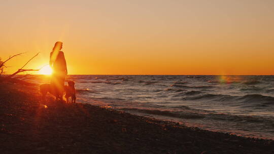 日落时分一个年轻的女人带着两只狗站在安大略湖边