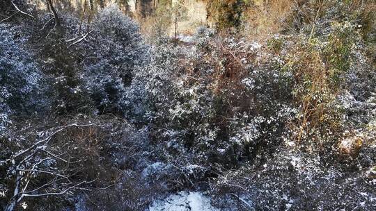 湖南张家界武陵源5A景区