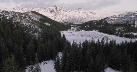 被森林和雪山包围的冰冻湖泊