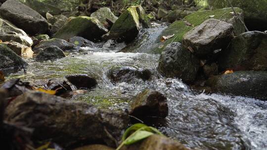 溪水山泉河流水源视频素材模板下载