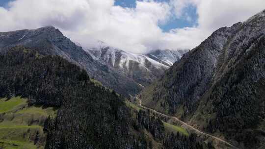 白雪覆盖的山脉和森林视频素材模板下载