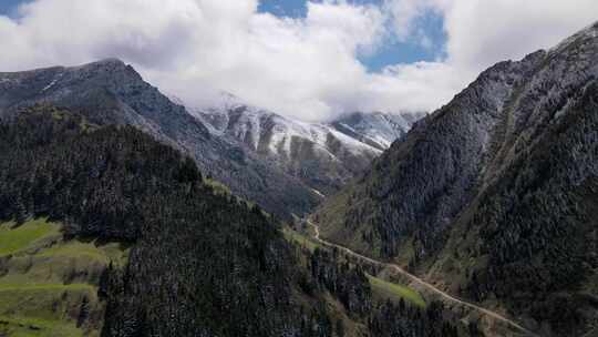 白雪覆盖的山脉和森林