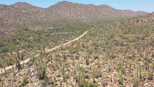 Desierto de Baja（巴哈沙