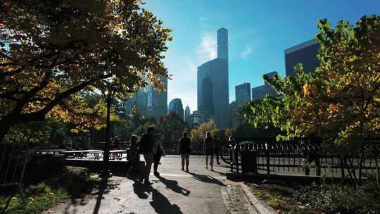 纽约中央公园人们跑步健身摩天大楼树林草地视频素材模板下载