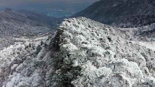 庐山雪后山林