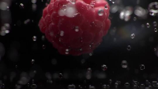 木莓高速摄影