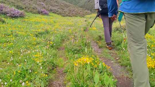 川西格聂山区阿沙沟草原花海的徒步旅行者