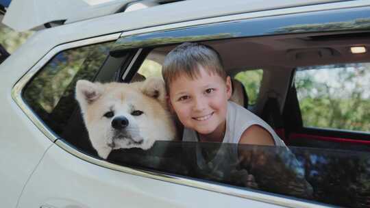 快乐的小男孩骑着他的秋田犬慢动作车