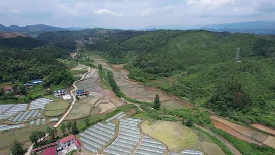 乡村田园农业种植农作物航拍