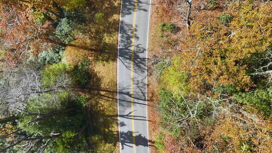 一辆汽车行驶在大烟山风景林道上的俯视图蜿蜒在黄色之间