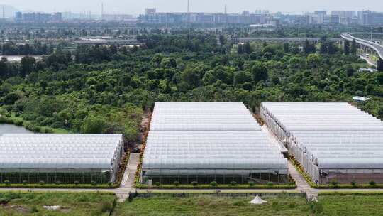 现代化农业大棚基地