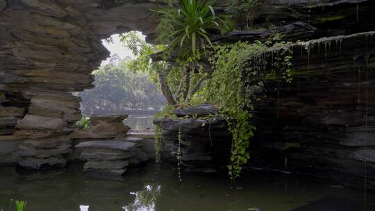 岩石植物假山公园环境