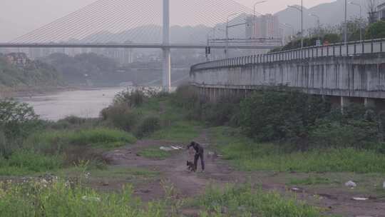 在江边训狗的男子视频素材模板下载