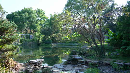 中国科学院武汉植物园风景