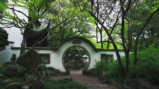 诗画江南植物园林4K 唯美雨水意境 白噪音