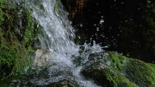 溪流从苔藓覆盖的岩石上倾泻而下