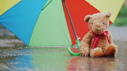 坐在雨中的泰迪熊玩偶视频素材模板下载