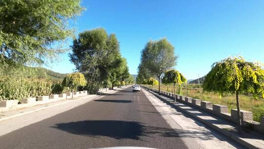 驾车开车乘车行驶在城市道路上第一视角