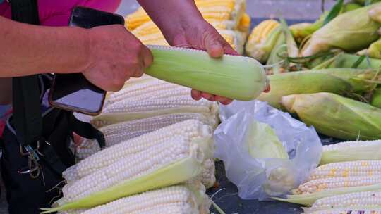 菜市场地摊挑选玉米的女人