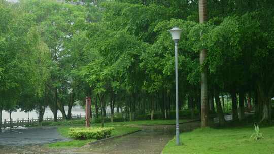 公园雨景