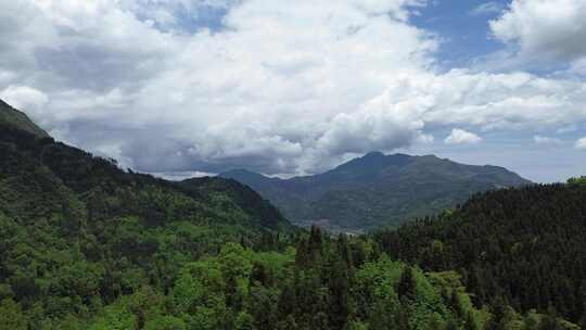 四川海窝子镇龙门山镇通济镇附近山川土地