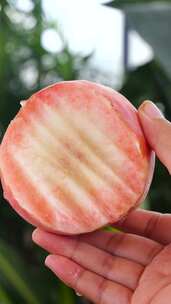 苹果桃 红脆桃 脆桃