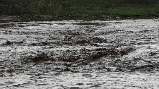 实拍暴雨后洪水 山洪  泥石流