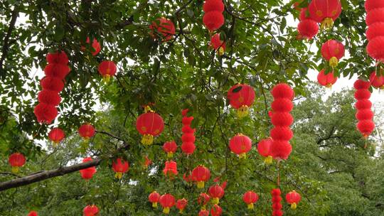 春节红灯笼祈福许愿树