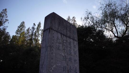 杭州西湖景区曲院风荷风景