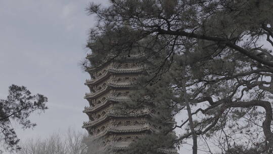 北京大学-博雅塔