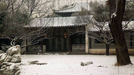 北京紫竹院公园中雪景(5)