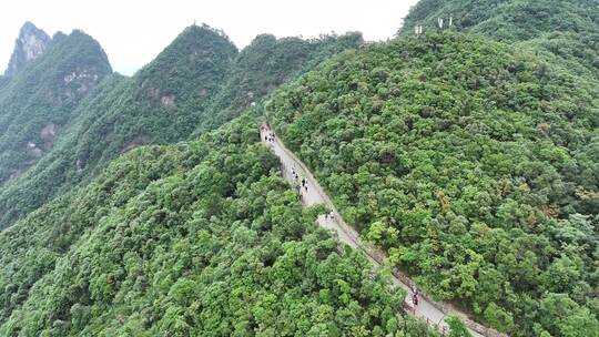 中国湖南省郴州市宜章县莽山五指峰景区