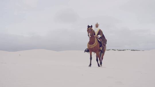 流浪者在沙漠中骑马