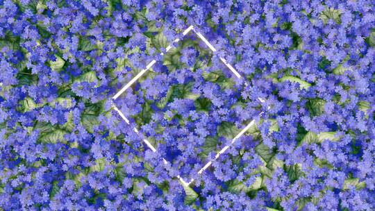 4款蓝色花卉 几何发光背景视频素材模板下载
