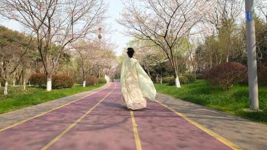 春日 浪漫 女孩 漫步 街景 惬意