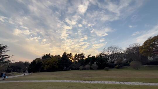 4k 日落下的城市园林自然风光特写