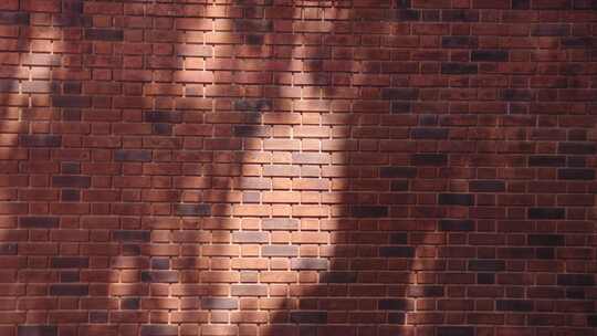 红砖墙面光影特写