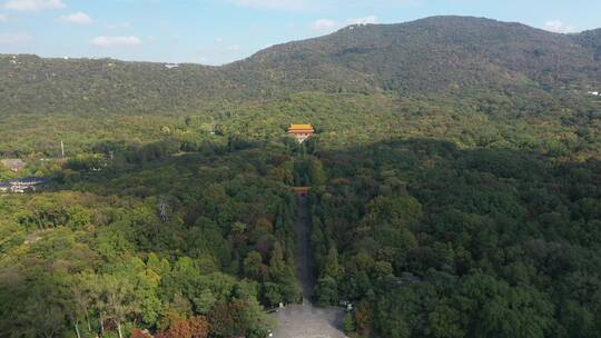 航拍南京钟山景区