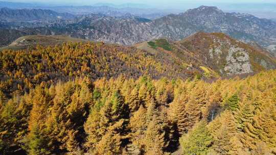 秋天山景 秋景 秋色 秋游