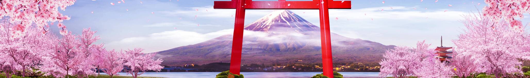樱花飘落 富士山