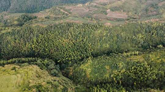 山川 风景 茶 延时