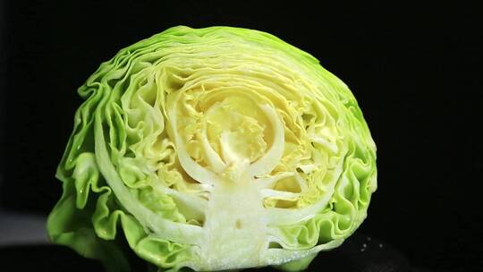 蔬菜圆白菜