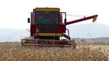 农业机械化 麦田收割高清在线视频素材下载