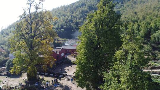 乌石山+荷塘村