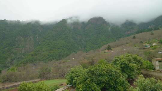 特内里费岛拉奥罗塔瓦格林山脉上空的雾