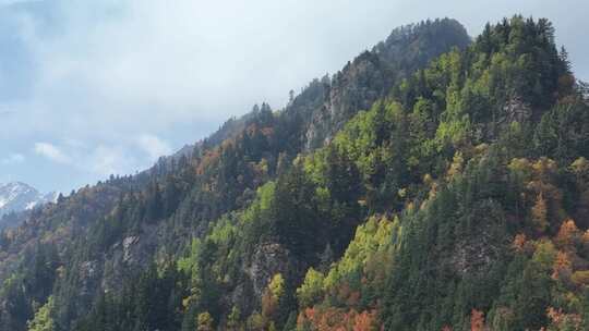 青海互助北山秋景雪山云雾