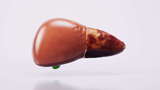脂肪肝与生物医学3D渲染高清在线视频素材下载