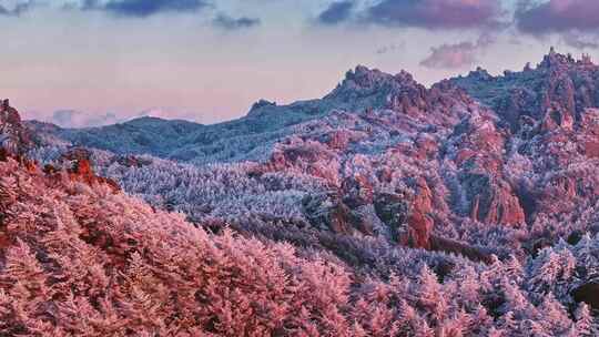 青岛雪景崂山雪景